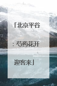北京平谷：芍药花开迎客来