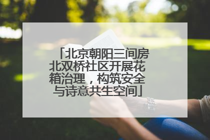 北京朝阳三间房北双桥社区开展花箱治理，构筑安全与诗意共生空间