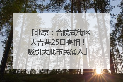 北京：合院式街区大吉巷25日亮相！吸引大批市民涌入