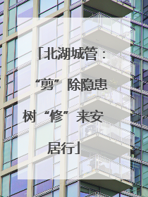 北湖城管：“剪”除隐患树“修”来安居行