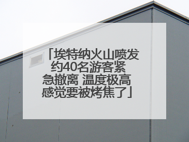 埃特纳火山喷发 约40名游客紧急撤离 温度极高感觉要被烤焦了