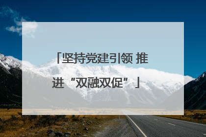坚持党建引领 推进“双融双促”
