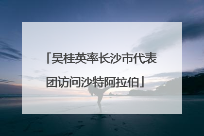 吴桂英率长沙市代表团访问沙特阿拉伯