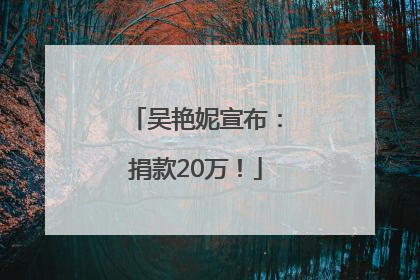 吴艳妮宣布：捐款20万！