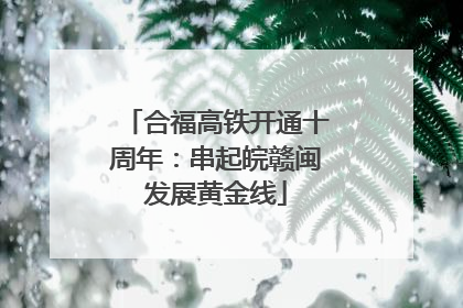 合福高铁开通十周年：串起皖赣闽发展黄金线
