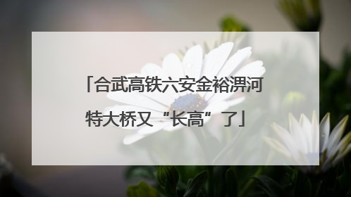 合武高铁六安金裕淠河特大桥又“长高”了