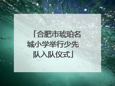 合肥市琥珀名城小学举行少先队入队仪式
