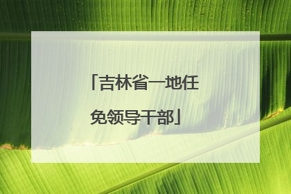 吉林省一地任免领导干部