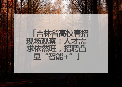 吉林省高校春招现场观察：人才需求依然旺，招聘凸显“智能+”