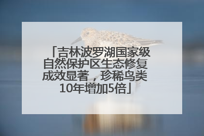 吉林波罗湖国家级自然保护区生态修复成效显著，珍稀鸟类10年增加5倍