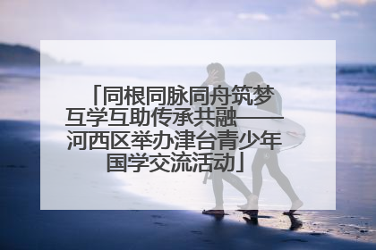 同根同脉同舟筑梦 互学互助传承共融——河西区举办津台青少年国学交流活动