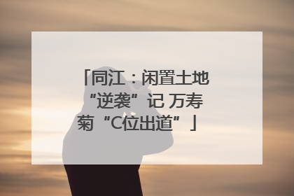 同江：闲置土地“逆袭”记 万寿菊“C位出道”