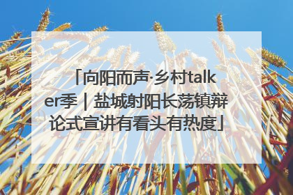 向阳而声·乡村talker季｜盐城射阳长荡镇辩论式宣讲有看头有热度