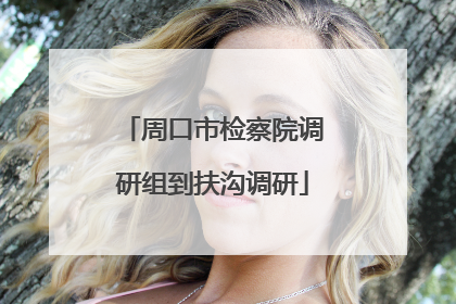周口市检察院调研组到扶沟调研