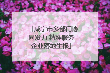咸宁市多部门协同发力 精准服务企业落地生根