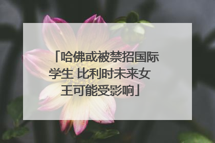 哈佛或被禁招国际学生 比利时未来女王可能受影响