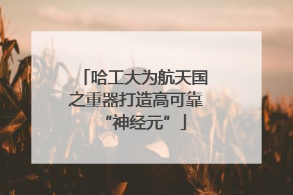 哈工大为航天国之重器打造高可靠“神经元”