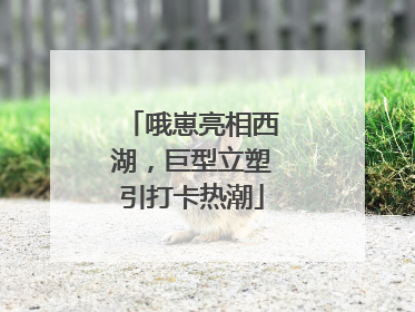 哦崽亮相西湖，巨型立塑引打卡热潮