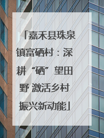 嘉禾县珠泉镇富硒村：深耕“硒”望田野 激活乡村振兴新动能