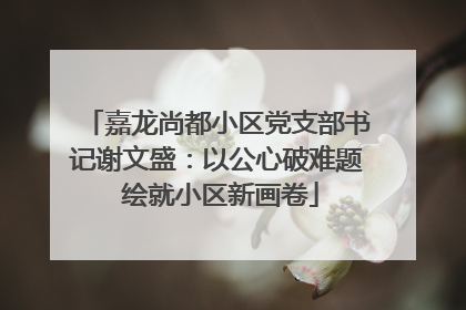 嘉龙尚都小区党支部书记谢文盛：以公心破难题 绘就小区新画卷