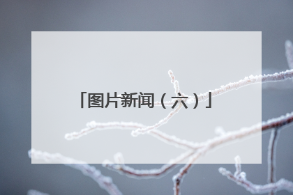 图片新闻（六）