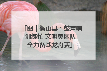 图｜衡山县：鼓声响 训练忙 文明奥区队全力备战龙舟赛