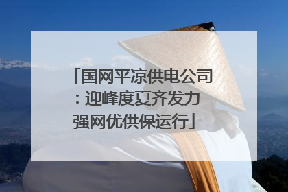 国网平凉供电公司：迎峰度夏齐发力 强网优供保运行