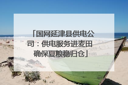 国网延津县供电公司：供电服务进麦田 确保夏粮稳归仓