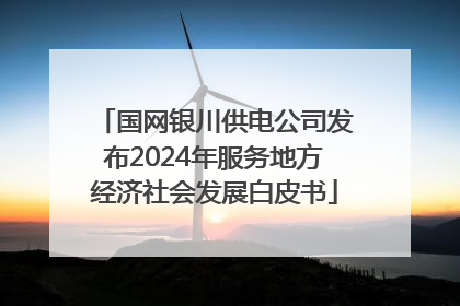 国网银川供电公司发布2024年服务地方经济社会发展白皮书