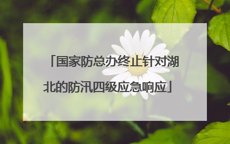 国家防总办终止针对湖北的防汛四级应急响应