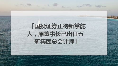 国投证券正待新掌舵人，原董事长已出任五矿集团总会计师