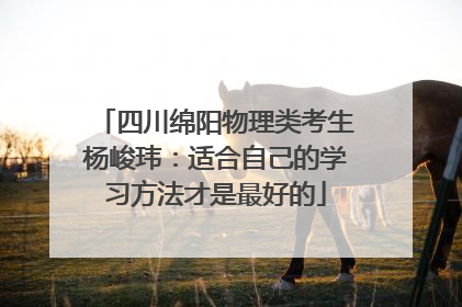 四川绵阳物理类考生杨峻玮：适合自己的学习方法才是最好的
