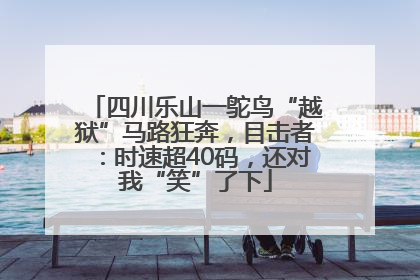四川乐山一鸵鸟“越狱”马路狂奔，目击者：时速超40码，还对我“笑”了下