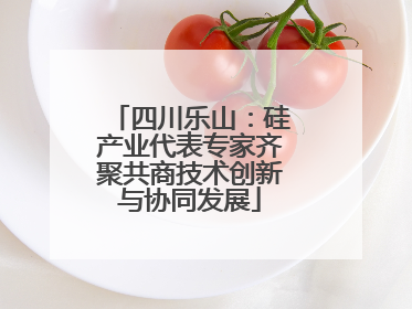 四川乐山：硅产业代表专家齐聚共商技术创新与协同发展