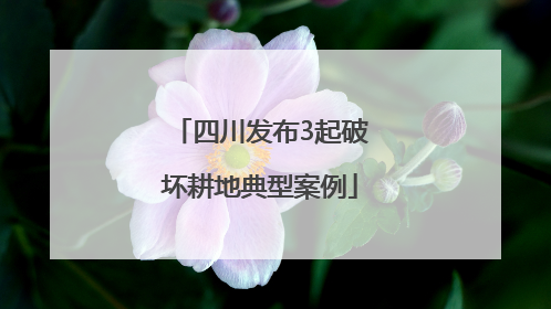 四川发布3起破坏耕地典型案例