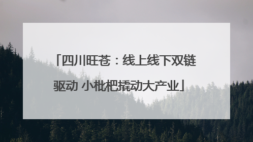 四川旺苍：线上线下双链驱动 小枇杷撬动大产业