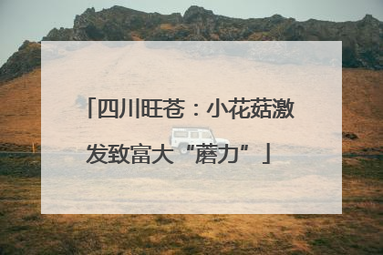 四川旺苍：小花菇激发致富大“蘑力”