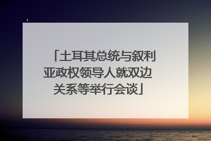 土耳其总统与叙利亚政权领导人就双边关系等举行会谈