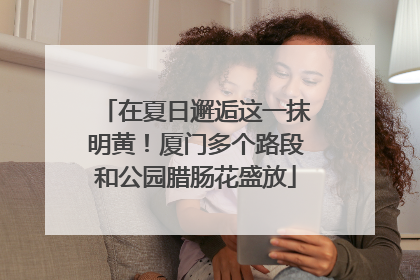 在夏日邂逅这一抹明黄！厦门多个路段和公园腊肠花盛放