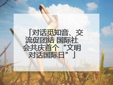 对话觅知音、交流促团结 国际社会共庆首个“文明对话国际日”