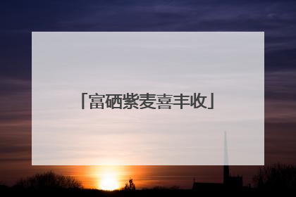 富硒紫麦喜丰收