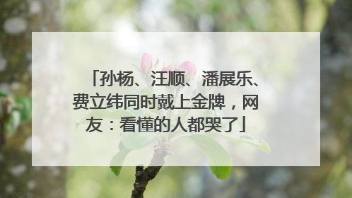 孙杨、汪顺、潘展乐、费立纬同时戴上金牌，网友：看懂的人都哭了