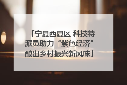 宁夏西夏区 科技特派员助力“紫色经济”酿出乡村振兴新风味