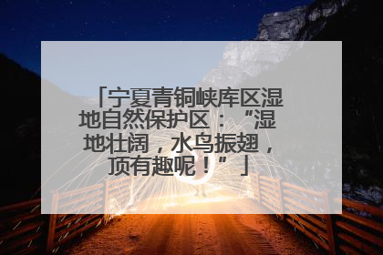 宁夏青铜峡库区湿地自然保护区：“湿地壮阔，水鸟振翅，顶有趣呢！”