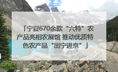 宁夏670余款“六特”农产品亮相农展馆 推动优质特色农产品“出宁进京”