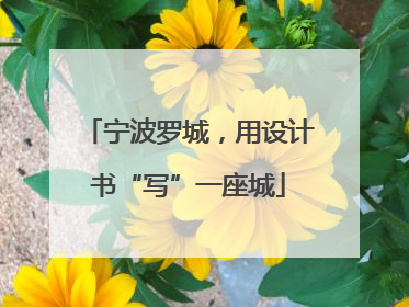 宁波罗城，用设计书“写”一座城