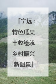 宁远：特色瓜果丰收绘就乡村振兴新图景