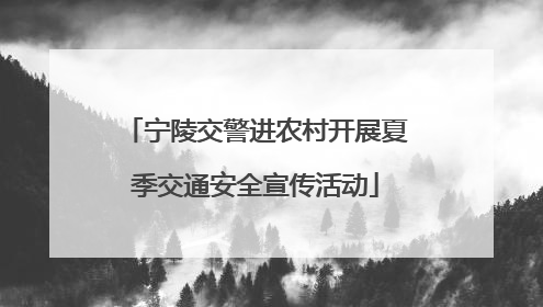 宁陵交警进农村开展夏季交通安全宣传活动