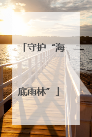 守护“海底雨林”
