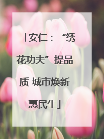 安仁：“绣花功夫”提品质 城市焕新惠民生